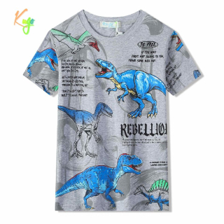 Chlapecké tričko kr.r. Kugo MC9859 s dinosaury šedé